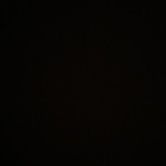 Meet your Posher, Lara - Picture 1 of 1